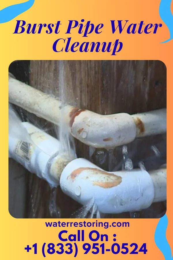 Burst Pipe Water Cleanup in Bellwood, NE