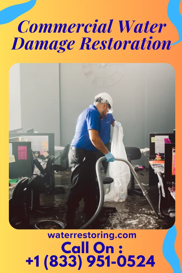 Commercial Water Damage Restoration in Bellwood, NE