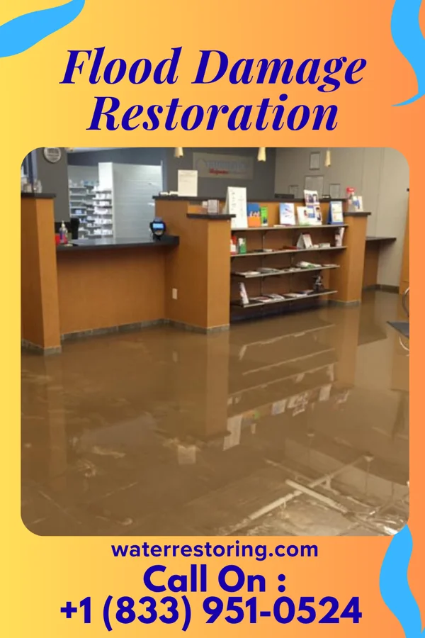 Flood Damage Restoration in Bellwood, NE